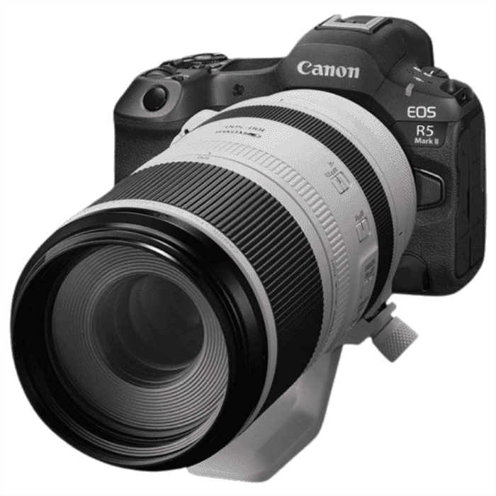 Ống kính Canon RF 300-600mm f/4-5.6L IS USM hiện đang trong giai đoạn thử nghiệm cuối cùng
