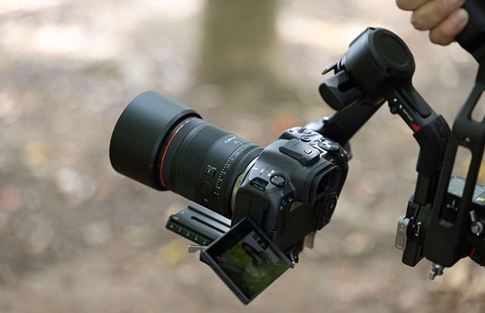 Canon RF 85mm f/1.4L VCM tạo ra hiệu ứng nén vừa đủ và trường nhìn hẹp, giúp tách bạch chủ thể khỏi phông nền