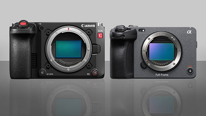 Canon C50 và Sony FX3 đều là hai mẫu máy quay chuyên nghiệp được ưa chuộng trong giới làm phim hiện nay
