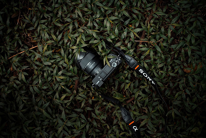 Sony A6400 được trang bị cảm biến Exmor® CMOS APS-C 24.2MP