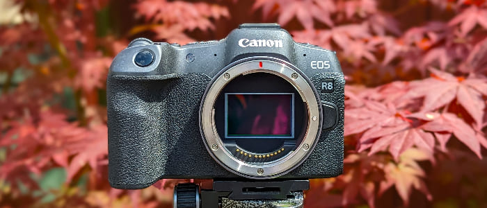 Canon R8 chính là công cụ lý tưởng nhờ thiết kế gọn nhẹ