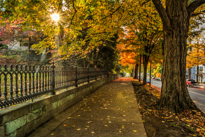 Khẩu độ là yếu tố then chốt trong việc tạo chiều sâu cho ảnh