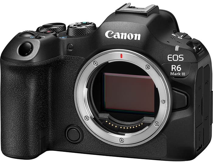 Canon R6 Mark III có thể chụp liên tục 40 khung hình/giây với màn trập điện tử hoặc 12 khung hình/giây với màn trập c