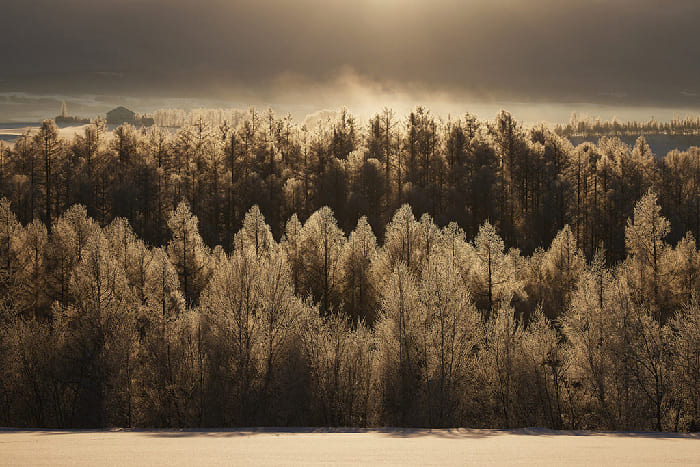 Điểm quan sát Rubeshibe nằm dọc Hokkaido Road 580, ít người biết nhưng cảnh sương muối vào sáng sớm vô cùng đẹp