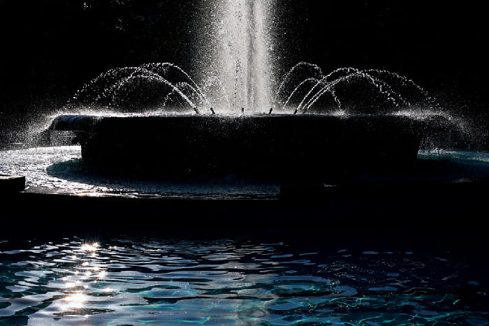 Canon RF 50mm f/1.8 STM có khẩu độ tối đa f/1.8, giúp duy trì tốc độ màn trập đủ nhanh ngay cả khi chụp trong điều kiện ánh sáng yếu