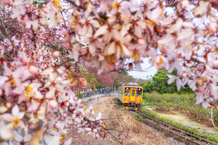 Canon RF 50mm f/1.8 STM giúp bạn vừa luyện tập kỹ năng vừa tạo ra nhiều tác phẩm đa dạng, từ phong cảnh, chân dung đến đời thường