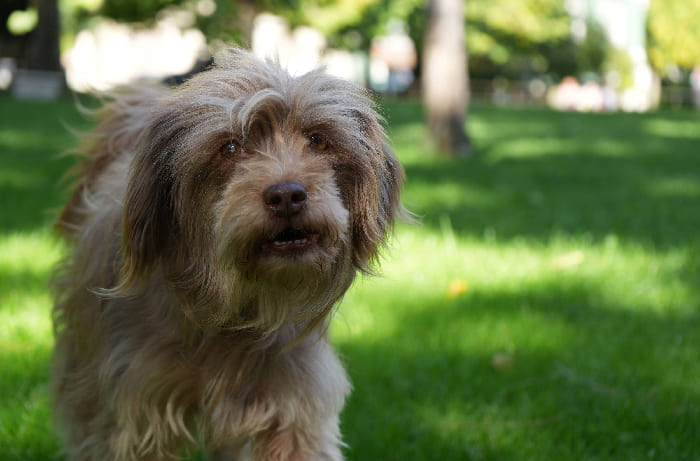 Sony FE 28-70mm f/3.5-5.6 OSS II đáp ứng nhu cầu quay video nhẹ nhàng nhờ trọng lượng hợp lý