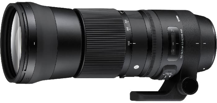 Sigma 150-600mm f/5-6.3 DG OS HSM Contemporary là lựa chọn phổ biến cho chụp động vật