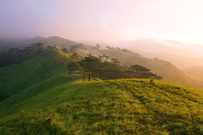 Tà Năng – Phan Dũng được xem là một trong những cung trekking đẹp và nổi tiếng nhất tại Việt Nam