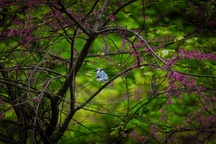 Điều này giúp sản phẩm trở thành lựa chọn phù hợp cho nhiếp ảnh thể thao, wildlife và photojournalism