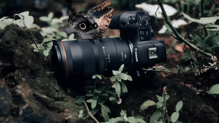 Canon RF 100mm F/2.8L Macro IS USM là một lựa chọn rất đáng cân nhắc