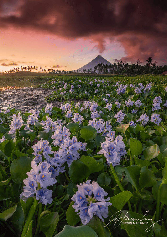 Canon EOS 5DS R, EF16-35mm f/4L IS USM lens, f/11, 16mm, 5sec, ISO200