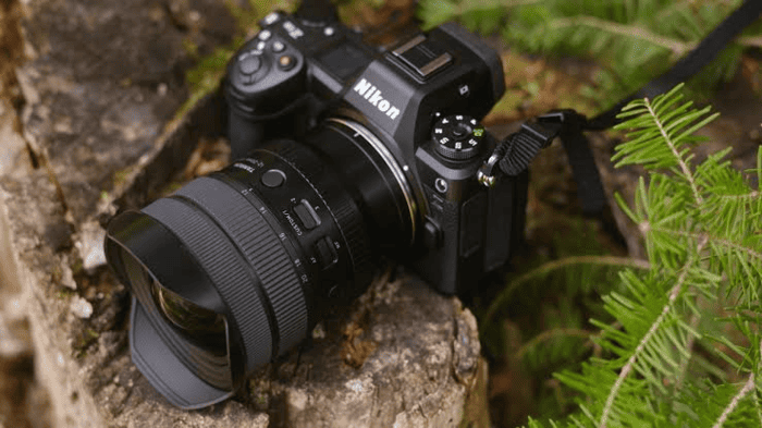 Tamron 12-20mm F/2.8 cho thấy khả năng tái tạo màu sắc đẹp mắt cùng độ méo hình được kiểm soát hiệu quả