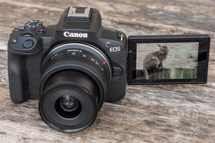 Canon R50 hỗ trợ tiếng Việt trong hệ thống menu