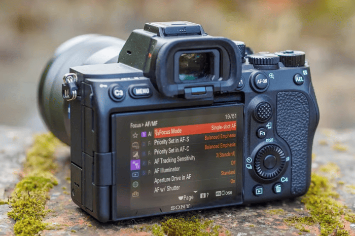 A7S III từng có vị trí đặc biệt nhờ khả năng quay video mạnh mẽ và chất lượng hình ảnh tốt trong điều kiện thiếu sáng
