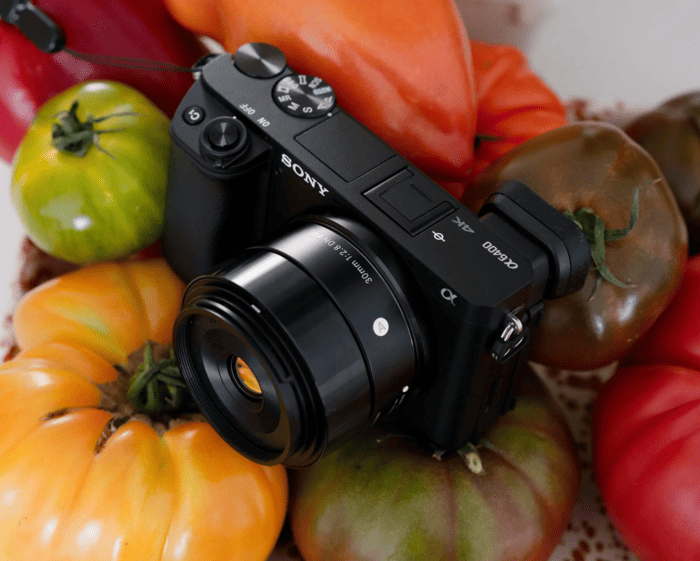 Sony A6400 có thiết kế nhỏ gọn với màn hình LCD lật lên 180 độ