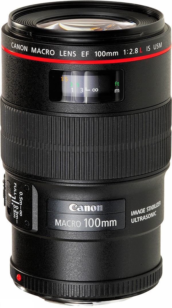 canon 100 mm macro lens