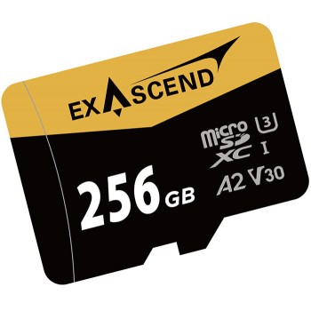 Thẻ Micro SD 256Gb 175Mb V30 Exascend Catalyst (Chính hãng)