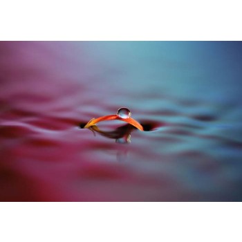 Sony-FE-100mm-F2-8-Macro-GM-OSS-15
