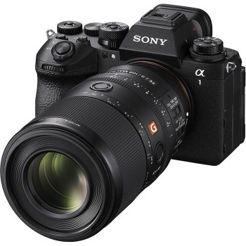 Sony-FE-100mm-F2-8-Macro-GM-OSS-7