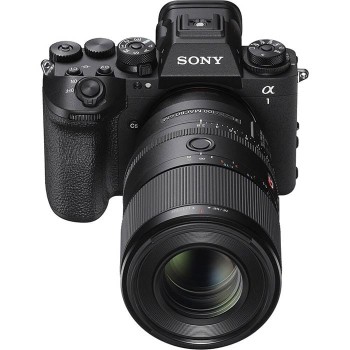 Sony-FE-100mm-F2-8-Macro-GM-OSS-8