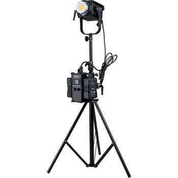 LED-Nanlite-Forza-300-II-Daylight-14