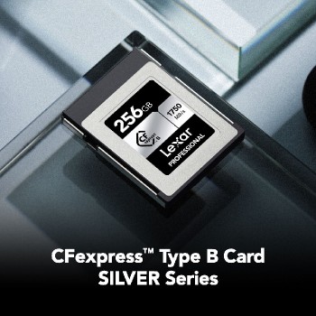 the-nho-lexar-professional-silver-cfexpress-type-b-256gb-1