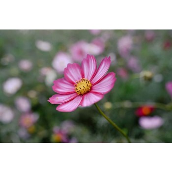 Nikon-Z-24-105mm-f4-7-1-8